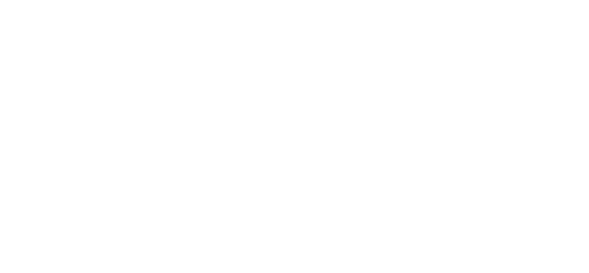Volz